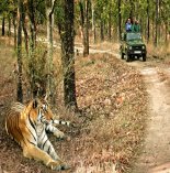 Jeep Safari